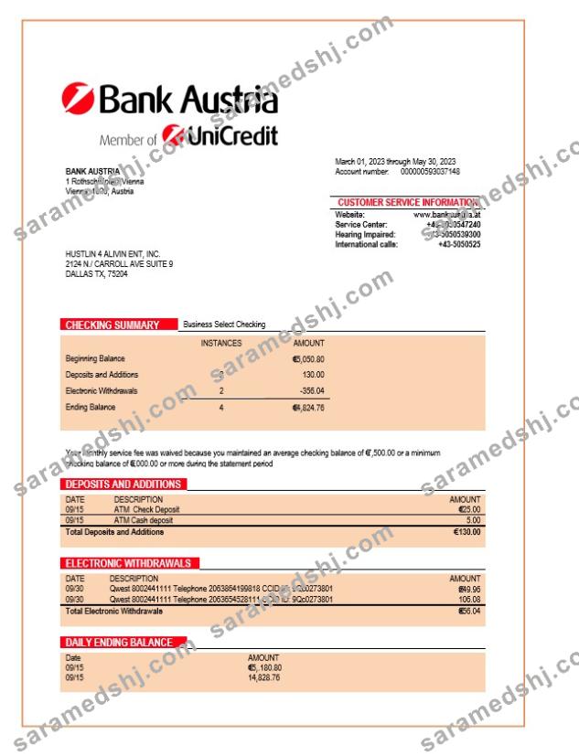 Bank Austria organization statement Word and PDF template
